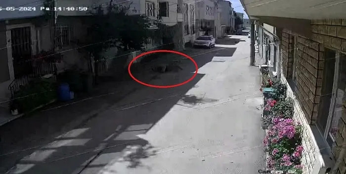 1714918991271.jpeg Bursa'da başıboş köpek dehşeti! 3 çocuğa saldırdı | O anlar kamerada - 2