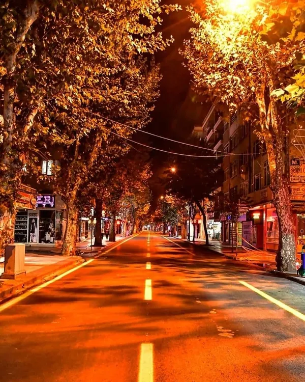 bozuk-yollari-yenilemenin-neresi-sov-yalova-eski-belediye-baskani-vefa-salmandan-tuhaf-elestiri-1607786923912.jpg Bozuk yolları yenilemenin neresi şov? Yalova Eski Belediye Başkanı Vefa Salman'dan tuhaf eleştiri - 1