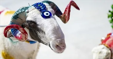 Kurban Bayramı’na kaç gün kaldı? 2025 Kurban Bayramı ne zaman, ayın kaçında, tatil kaç gün sürecek?