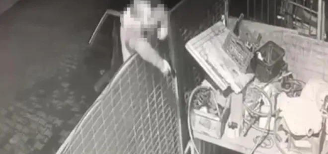 Köpeğe önce ateş etti sonra değnekler fırlattı! İstanbul'da insanlık dışı görüntüler