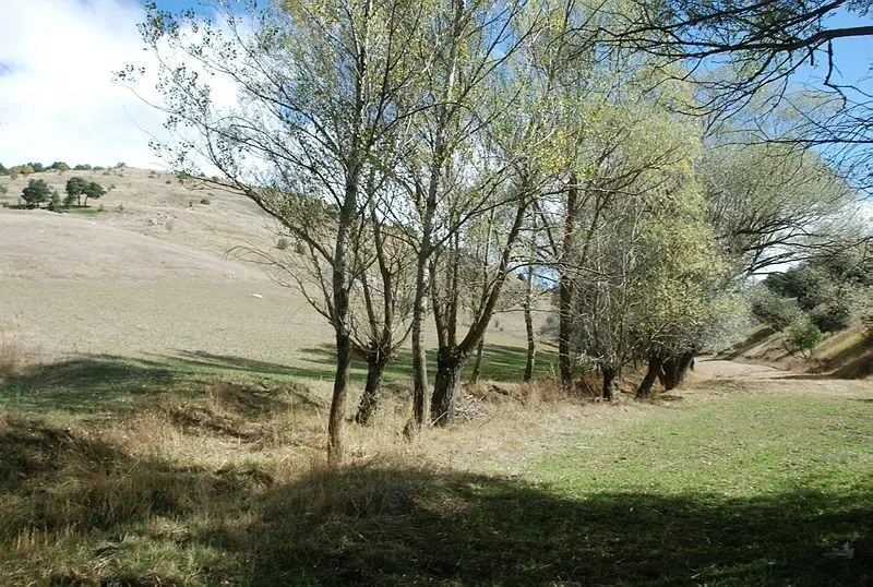 ahaber