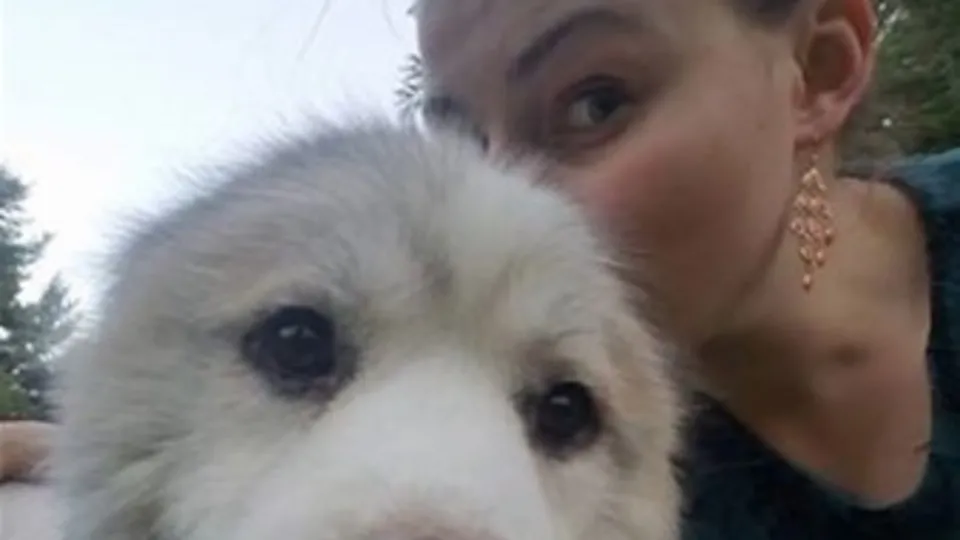 Bu köpek 6 yıl ahırda tutulmuş