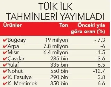 1622178651612.jpg TÜİK ilk tahminleri yayımladı! İşte Türkiye'nin kuraklık faturası belli oldu - 1