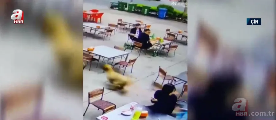 Eşini boğdu “Çok masraflıydı” dedi! Kan donduran olay 18