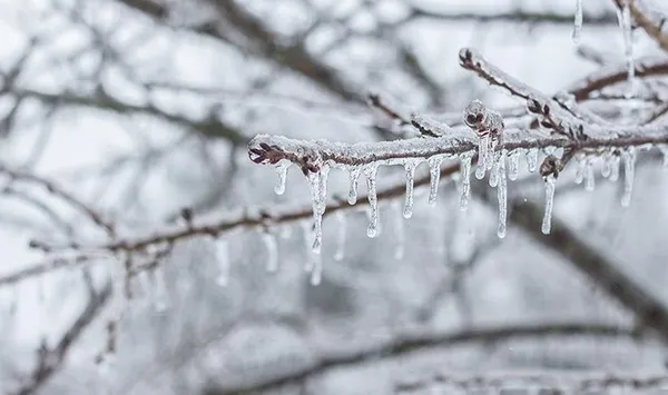 1639927938241.jpg Meteoroloji'den son dakika yoğun kar uyarısı! Sağanak yağış fırtına don geliyor! İstanbul Ankara İzmir'de bu hafta hava durumu nasıl olacak? - 6