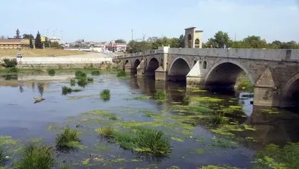 Kuraklık bu hale getirdi: Tunca Nehri yeşile büründü