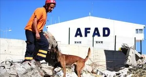 AFAD’ın Köpekli Arama Timi Yönetmeliği yayımlandı!