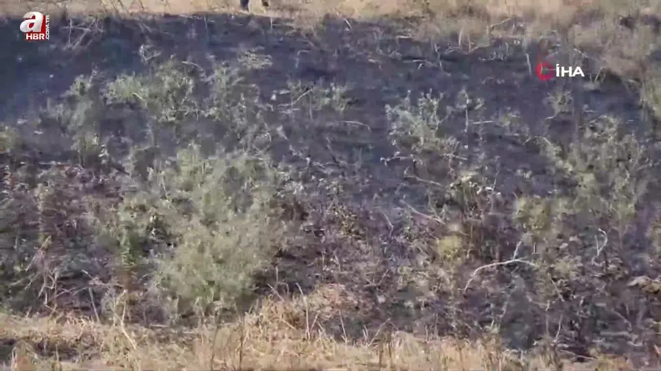 Sinop’ta çöp yangını otlara sıçradı