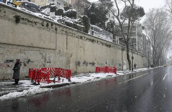 CHP’li İBB asırlık çınarları katletti! Sanatçılar sessiz kaldı! Bunun adı ikiyüzlülük