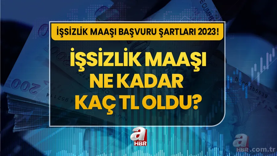 İşsizlik maaşı yükseldi mi, ne kadar oldu 2023? İşsizlik maaşı kaç ay veriliyor, ne kadar sürede bağlanır? e-devlet başvuru ekranı ve şartları... 1