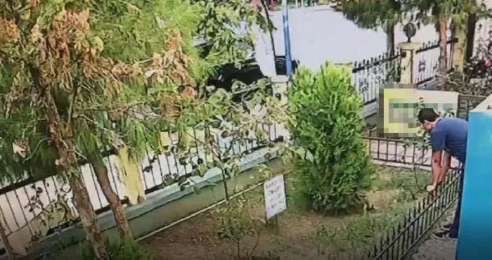 İzmir'de kediyi tekmeleyerek öldürdü - 1