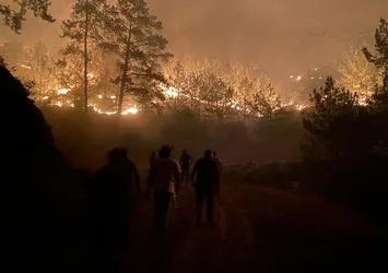 Muğla'daki orman yangınında yalan terörü!