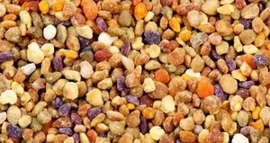 Doğal kolajen kaynağı! Cildi onarıyor...