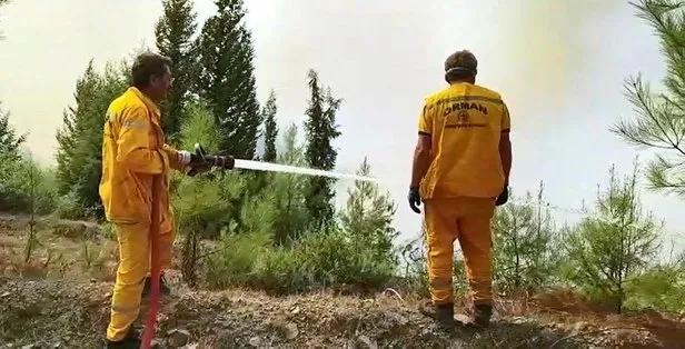 Son dakika: Kahramanmaraş'ta orman yangını! Vali Coşkun'dan flaş açıklama - 2