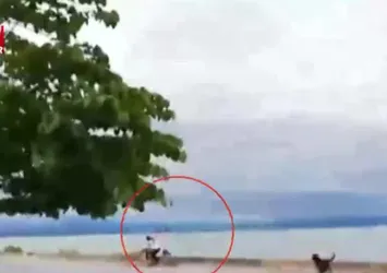 Dragos sahilde başıboş köpek dehşeti!