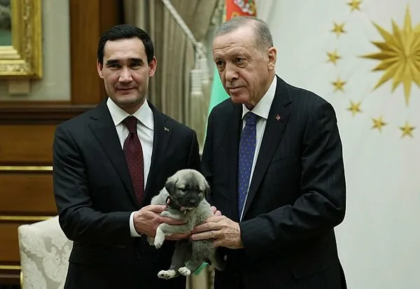 Başkan Erdoğan ile Türkmenistan Devlet Başkanı Berdimuhammedov birbirlerine köpek hediye etti