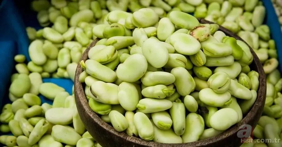 İbn-i Sina binlerce yıl önce yazdı: 1 asır yaşamanın sırrı bu reçetede... 8