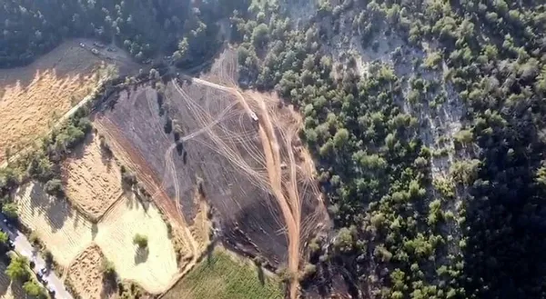 Bolu’da orman yangını! 5 hektar alan küle döndü