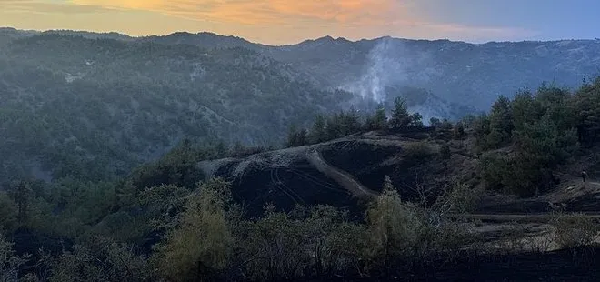 Kahramanmaraş'ta orman yangını! Kontrol altına alındı