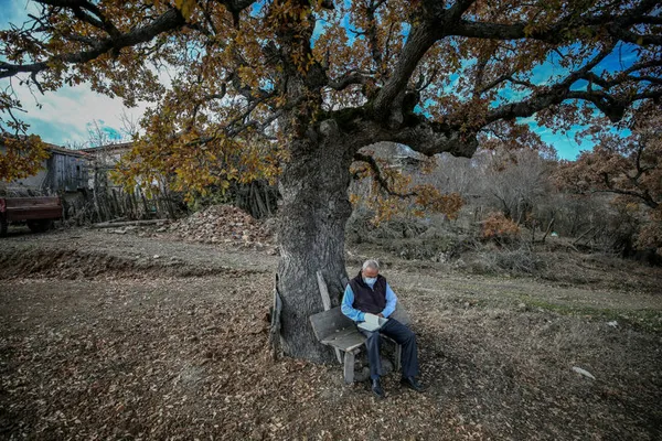 O mahallede hiç vaka görülmedi: Salgın sonrası nüfusu bir anda 10 katına çıktı