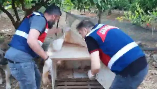 antalyada-kopek-kulubesinde-uyusturucu-ele-gecirildi-1653227461440.jpg Antalya’da köpek kulübesinde uyuşturucu ele geçirildi! - 2