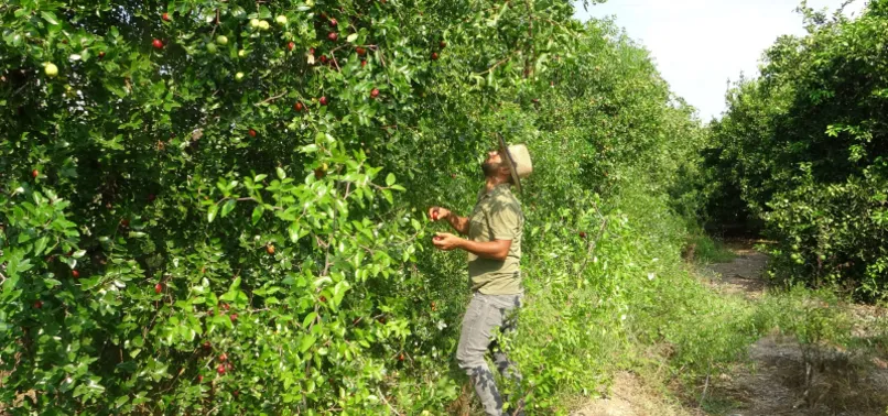 Fahiş fiyatla nasıl mücadele edilir? Uzmanlardan fahiş fiyata tavsiyeler