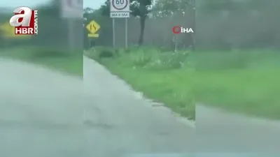 Meksika’da 14 polis kaçırıldı