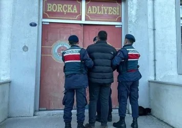 Artvin'de kooperatif başkanı kaçak ağaç kesmekten gözaltına alındı!