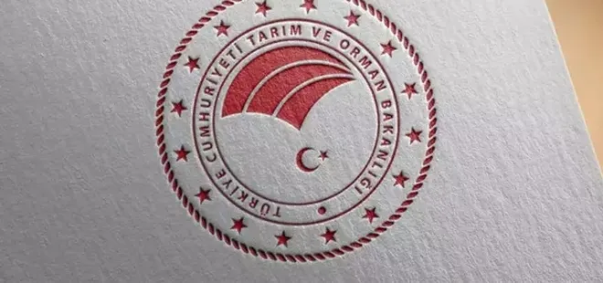 81 ilde ormanda atık toplama etkinliği