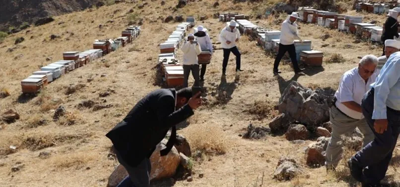 Verimli bal sezonu için şükür duasında arılar saldırdı