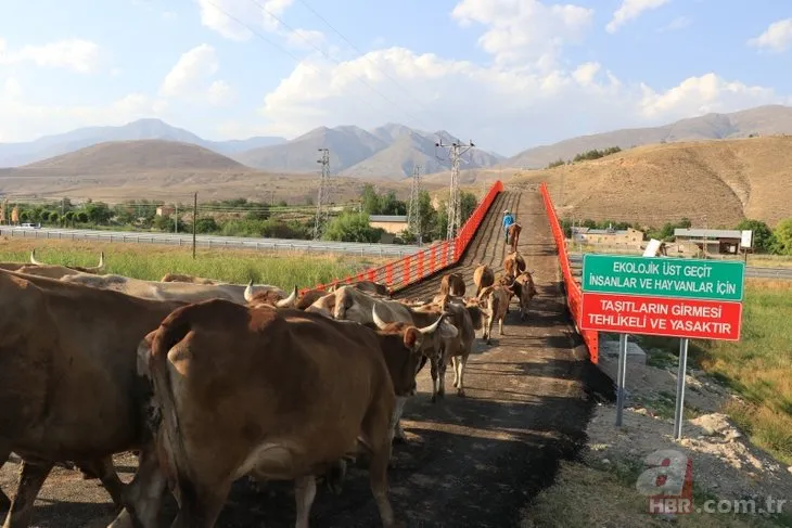 Örnek proje olarak gösteriliyor! İlk kez Erzincan’da uygulandı: Kazaları ortadan kaldıracak