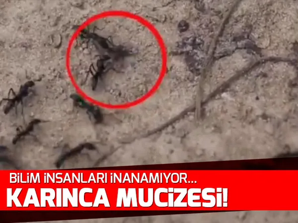 Taksi plakalarının fiyatı 2 günde 100 bin lira arttı - 1