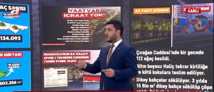 İstanbul’da dikilen ağaç sayısı azalıyor! Azalan yeşillik rakamlara yansıdı