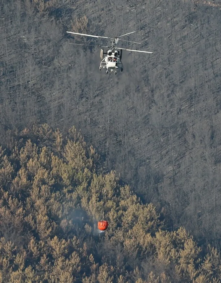 Orman yangınları ile ilgili oluşturulmak istenen algı operasyonuna belgeli yanıt!