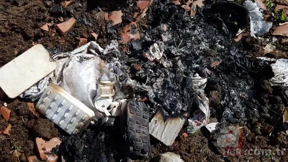 Ormanda kilolarca altın bulundu! 3