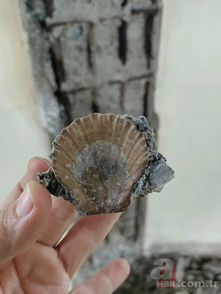 Sosyal medyada yeni algı operasyonu: Kız Kulesi yıkıldı! Provokatörler yine devrede | İşte Kız Kulesi gerçeği 17