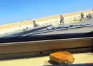 Husileri zırhlı araçlarla ezdiler