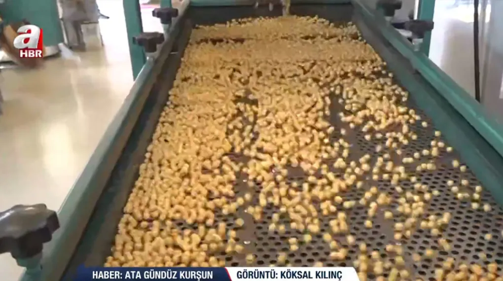 Denizli'de leblebi mesaisi! Dünyanın ilk ve tek leblebi sanayi sitesinde üretim