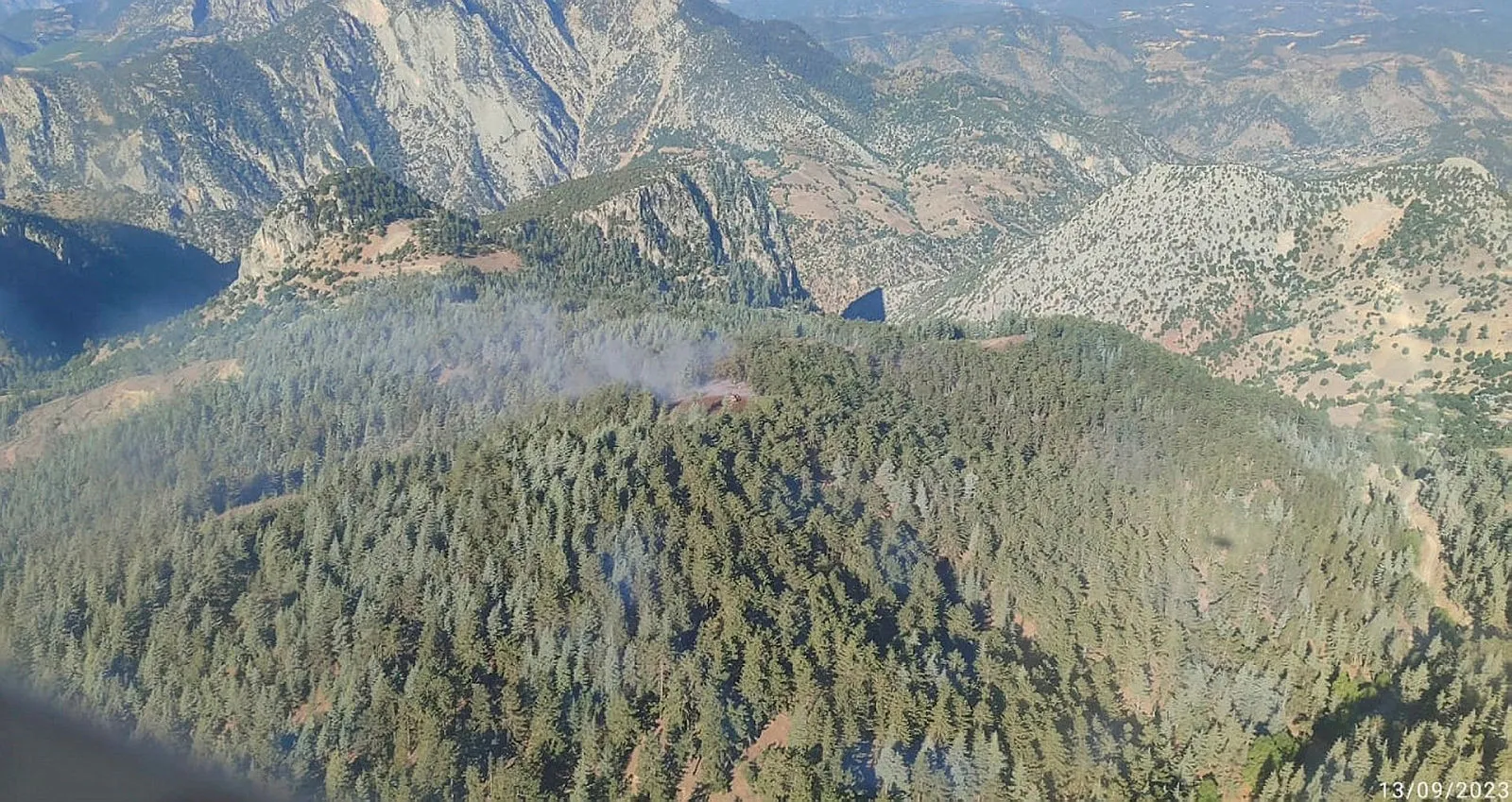 Adana'da orman yangını: Havadan ve karadan müdahale ediliyor