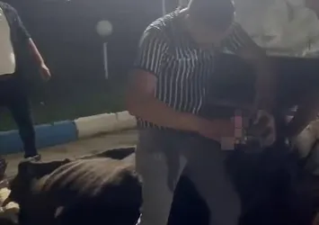 Sakarya'da skandal olay: İneğe zorla alkol içirdiler! Savcılık harekete geçti