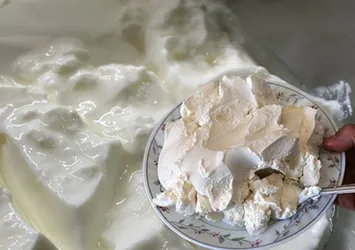 Mayam yok diye üzülmeyin! Yoğurdu taş gibi yapıyor! Sütün içine 15 tane...