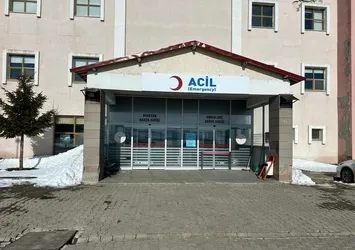 Karlıova’da kamyonun çarptığı yaya öldü