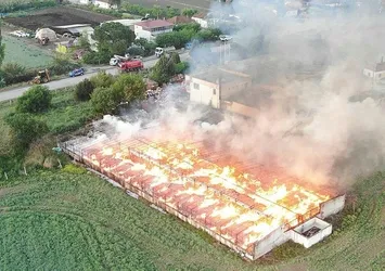 Depodaki yangında 160 ton kozalak küle döndü