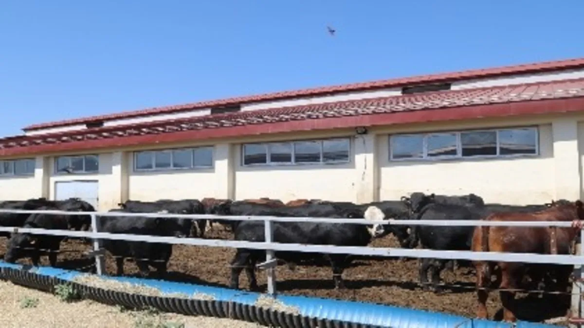 NARMAN AÇIK CEZA İNFAZ KURUMU İŞYURDU MÜDÜRLÜĞÜ