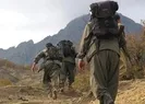 Çözülme sürüyor! Bir terörist daha teslim oldu