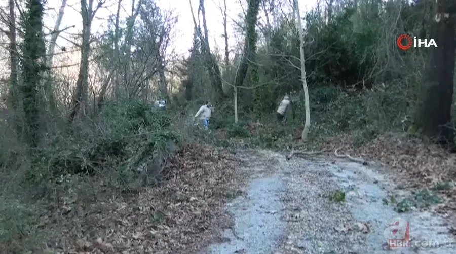 Kendiliğinden yetişiyor 100 aileye gelir kaynağı! Amerika ve Avrupa ülkelerine gönderiliyor 7