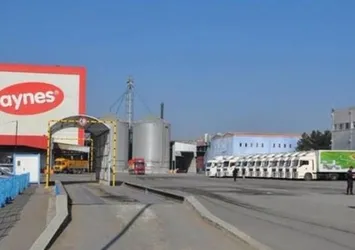 Aynes Gıda TMSF'ye devredildi