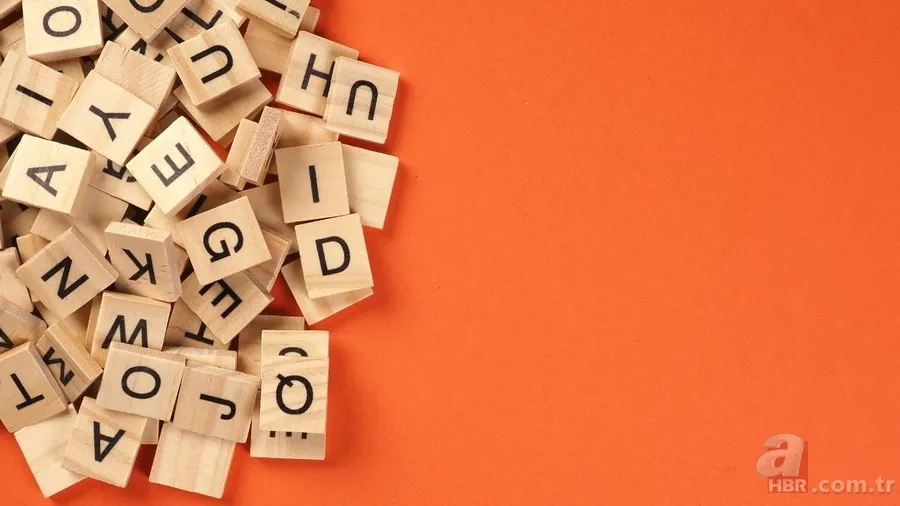 TDK 2025 yılının kelimesi seçildi mi? Oy verme tarihleri ve kelimeler 4