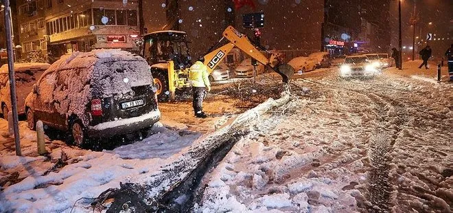 İstanbul’da yoğun kar yağışı ağaçları devirdi