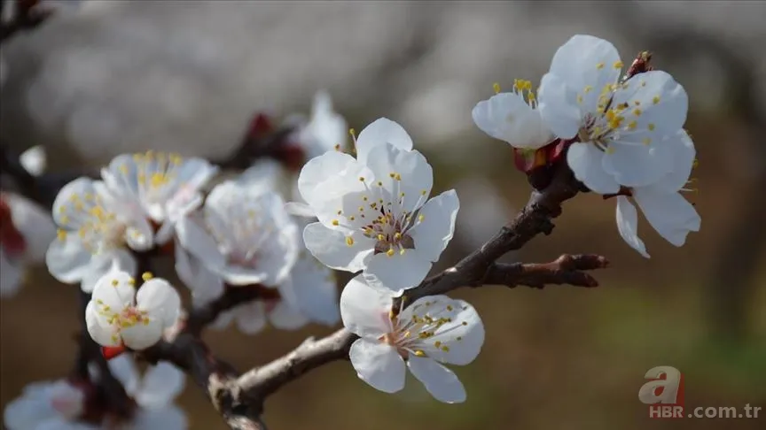 İsminizin ilk harfi kişiliğinizi belirliyor! İsmi A, B, F, K, S harfleriyle başlayan kişilerin özellikleri neler? İşte isim kişilik testi 22